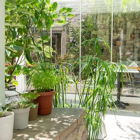 Ξενοδοχείο Cunda Ilios *